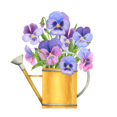 Watercolor pansy bouquet. Hand-drawn flowers composition in a watering can on a white background. Floral detailed garden illustration © Катерина Тышковская
