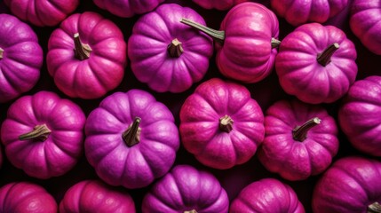 The background of many pumpkins is in Fuschia color - obrazy, fototapety, plakaty
