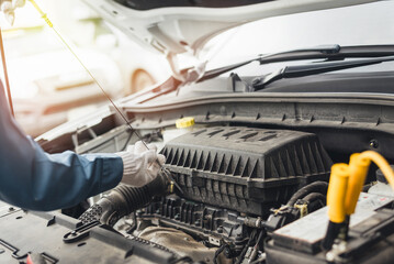 Auto technician inspecting under the hood of a vehicle, focusing on engine maintenance..