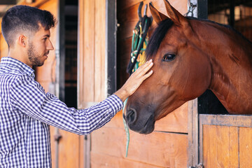 Man taking care of his brown horse in the stable