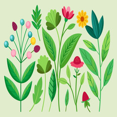 Fototapeta premium Botanical illustrations of medicinal plants vektor illustation