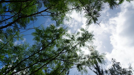 西表島の雨雲が近づく空