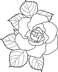 Rose flower with leaves outline illustration on transparemt background