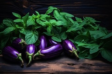 a group of eggplants and leaves