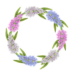 Floral wreath of hyacinths on a white background. Watercolor hand drawn botanical illustration. Template for spring card