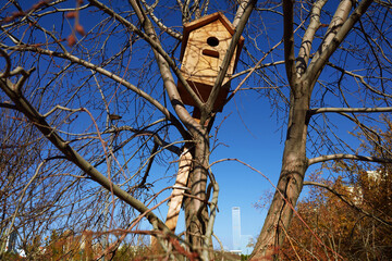 Image of Birdhouse on a tree in front of the Skyscraper in the background. Big City Mortgage concept image.