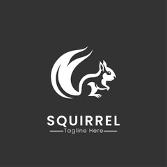 Squirrel logo icon design vector