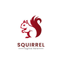 Squirrel logo icon design vector