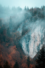 Beautiful landscape with trees, rock and fog during late autumn - obrazy, fototapety, plakaty