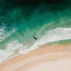 Fototapeta na wymiar ocean sand and surfer from above