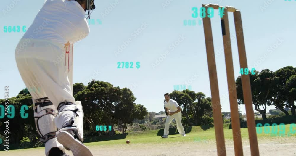 Poster Animation of digital data processing over diverse cricketers on field