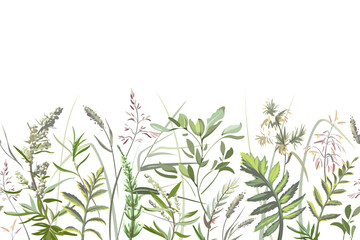 Colorful hand drawn sketch of leaves and grass. Horizontal seamless pattern with plants on a light background. Medical herbs and spice. Frame with wildflowers.
