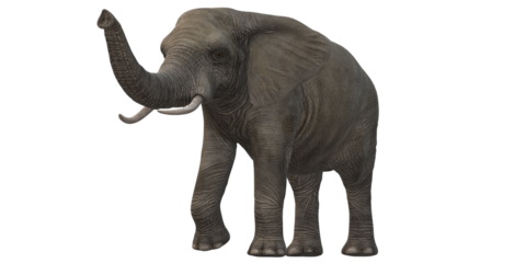 Elephant isolated on a Transparent Background