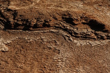 Dry ground, sand in the Africa. Close up view