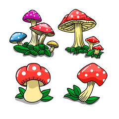 illustration of a cute mushroom, in a flat design style with a white background