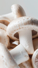 White mushrooms (champignons) with distinct textures and shadows on a light background.