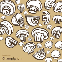 Isolated vector set of mushrooms. Champignons set. Hand drawn style.