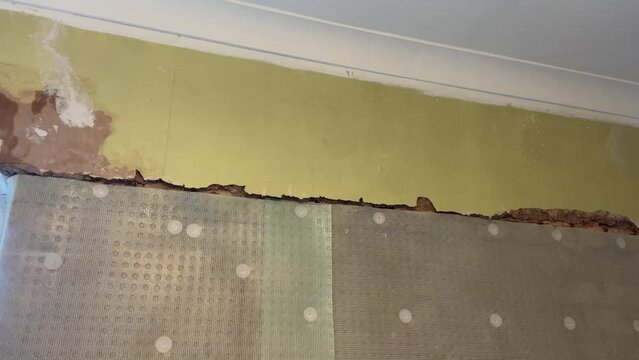 polypropylene studded seepage membrane to damp-proof wall.