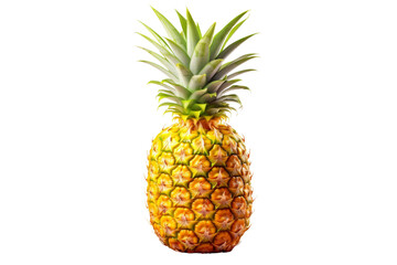 Pineapple. A single pineapple is displayed on a plain Transparent background.