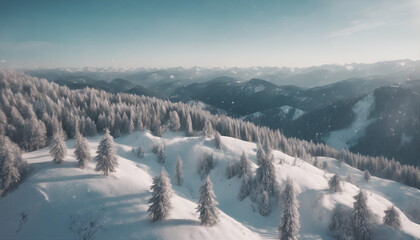 Aerial view of winter landscape atop alpine forest mountain top
