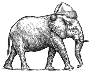 Vintage engraving isolated elephant set dressed christmas illustration ink santa costume sketch. African bishop background animal silhouette new year hat art. Black and white hand drawn image