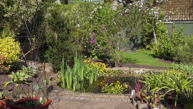 English garden pond on a sunny day in Spring