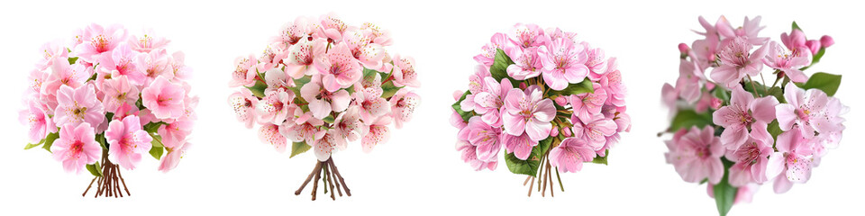 A quartet of pink azalea flower bouquets in full bloom, isolated on a transparent background, showing detailed petals and foliage.