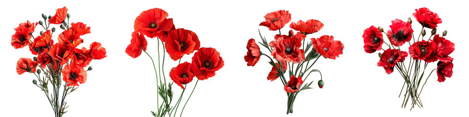 A selection of red gerbera daisies and poppies in various arrangements, with crisp, clear petals and green stems, all isolated for versatile use against a transparent background.