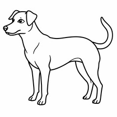 Pedigree dog puppy standing, black and white coloring. Vector line art