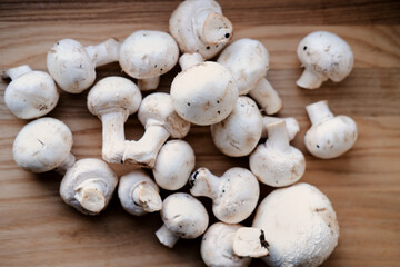 white whole champignons close-up on a wooden board. close-up of porcini mushrooms