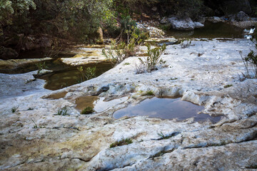 The mouth of the Oren stream on Mount Carmel in Israel with natural gouges and round holes, overgrown with oleander