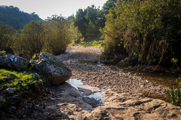 The mouth of the Oren stream on Mount Carmel in Israel with natural gouges and round holes, overgrown with oleander