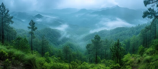 mountain forest landscape with cloudy sky - obrazy, fototapety, plakaty