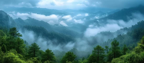 Papier Peint photo Bleu mountain forest landscape with cloudy sky