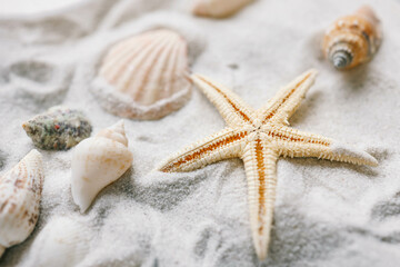 Fototapeta na wymiar Beautiful seashells and starfish on the white sand beach. Summer holidays travel concept