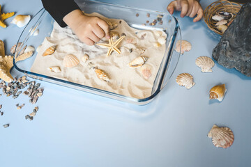 A child studies sand and shells, an idea for an activity with a child