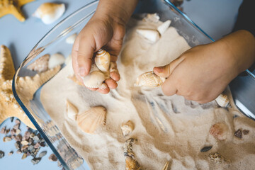A child studies sand and shells, an idea for an activity with a child