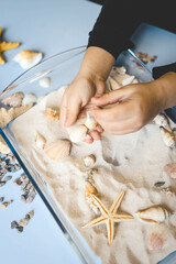 A child studies sand and shells, an idea for an activity with a child