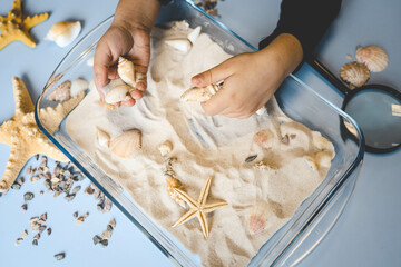 A child studies sand and shells, an idea for an activity with a child