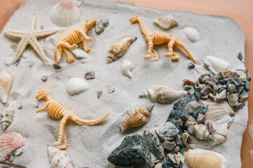 Obraz na płótnie Canvas Sensory bin for child's play close-up, dinosaur and shells excavation