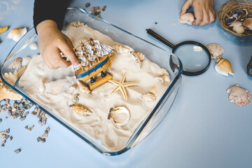 A child studies sand and shells, an idea for an activity with a child