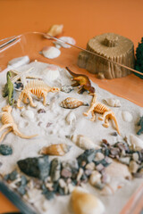 Sensory bin for child's play close-up, dinosaur and shells excavation