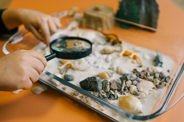 Sensory bin for child's play close-up, dinosaur and shells excavation