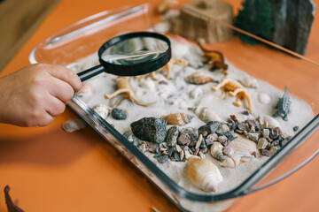 Sensory bin for child's play close-up, dinosaur and shells excavation