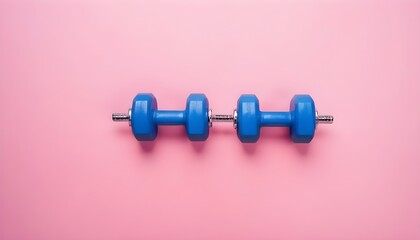 two blue dumbbells on a pink background, photo banner, top view, space for text
