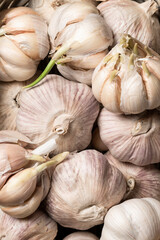 Close up view of sprouted dry garlic, healthy food ingredient, agricultural food harvest
- 738019000