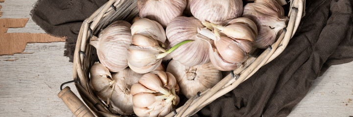 Close up view of sprouted dry garlic, healthy food ingredient, agricultural food harvest
- 738019003