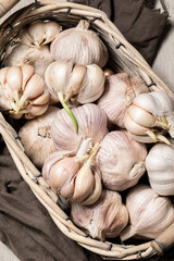 Close up view of sprouted dry garlic, healthy food ingredient, agricultural food harvest
- 738019037