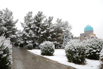 Winter in Samarkand