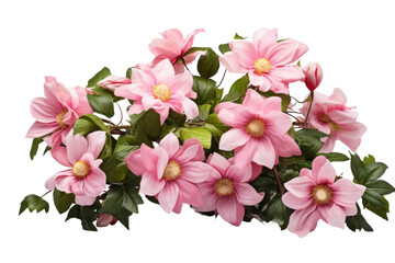A Bunch of Pink Flowers With Green Leaves. A group of pink flowers with vibrant green leaves...